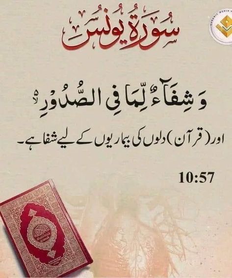 Qurani Ayat 💫Al-Quran 💫 Beautiful Ayat Of Quran, About Quran, Qurani Ayat, Islamic Knowledge In Urdu, Quran Ayat, Islamic Canvas, One Word Instagram Captions, Quran Kareem, Best Quran Quotes