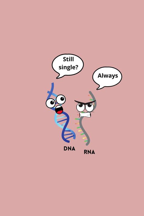 Dna Drawing, Dna And Rna, Dna Replication, Tissue Types, Still Single, Science Tshirts, Research Lab, Science Biology, Science Lab