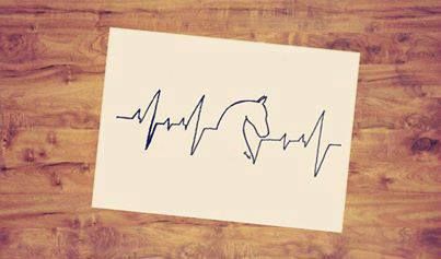 An equestrian's ECG. Ekg Tattoo, Treble Clef Tattoo, Horse Shoe Tattoo, Funny Horses, Initial Tattoo, Horse Tattoo, Horse Quotes, Horse Crazy, Horse Life