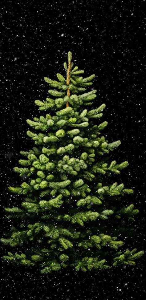 Tree Iphone Wallpaper, Christmas Trees Wallpaper, Tree Wallpaper Iphone, Iphone Wallpaper 4k, Wallpaper Natal, Xmas Wallpaper, Phone Art, Free Iphone Wallpaper, Wallpaper Iphone Christmas