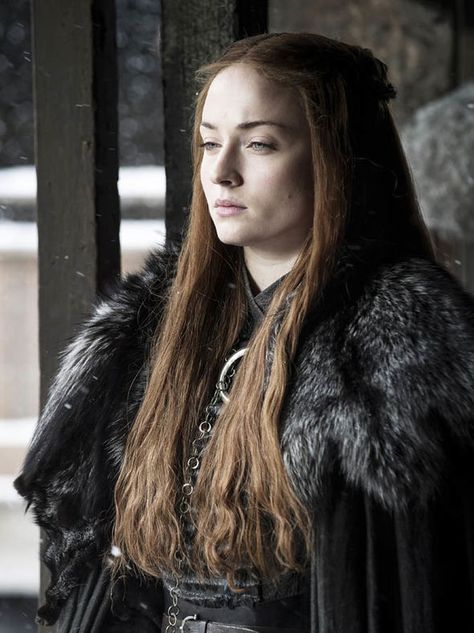 Game Of Thrones Sansa, Game Of Thrones Meme, Got Game Of Thrones, The North Remembers, Fire And Blood, Yennefer Of Vengerberg, Got Memes, Gra O Tron, Photographie Portrait Inspiration