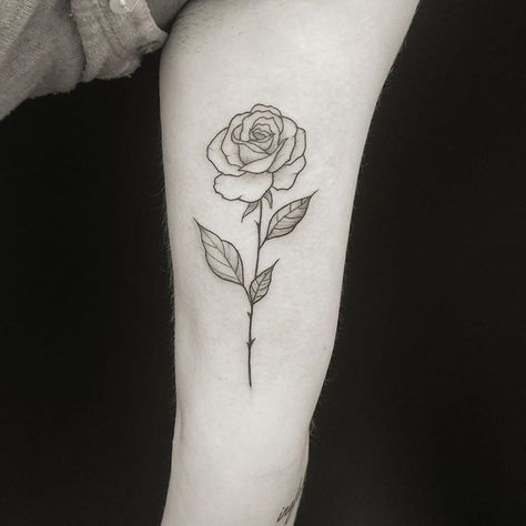 Minimal Rose by @miguel_orcal done with @bluebirdneedles @balm_tattoo @musotoku @killerinktattoo #minimaltattoo #minimalisttattoo #rosetattoo #finelinetattoo #donostitattoo #tattoodonostia | Artist: @trueblacktattoo Minimal Rose Tattoo, Fam Tattoo, Minimal Inspiration, Simple Rose Tattoo, Rose Drawing Tattoo, Tattoo Minimal, Rose Tattoos For Men, Small Rose Tattoo, Skeleton Hand Tattoo