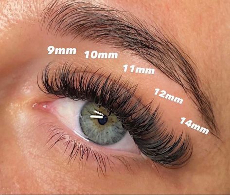 Lash Extension Map, Map Eyelash Extensions, Cat Eye Lash Map, Lash Map, Natural Fake Eyelashes, Best Lash Extensions, Lashes Tutorial, Lashes Fake Eyelashes, Eyelash Tips