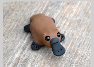 Platypus made out of clay. So cute! Polymer Clay Platypus, Animals To Make Out Of Clay, Polymer Clay Miniatures Diy, Mini Clay Creations, Perry The Platypus Clay, Clay Platypus, Small Clay Animals, Little Clay Animals, Cute Polymer Clay Ideas