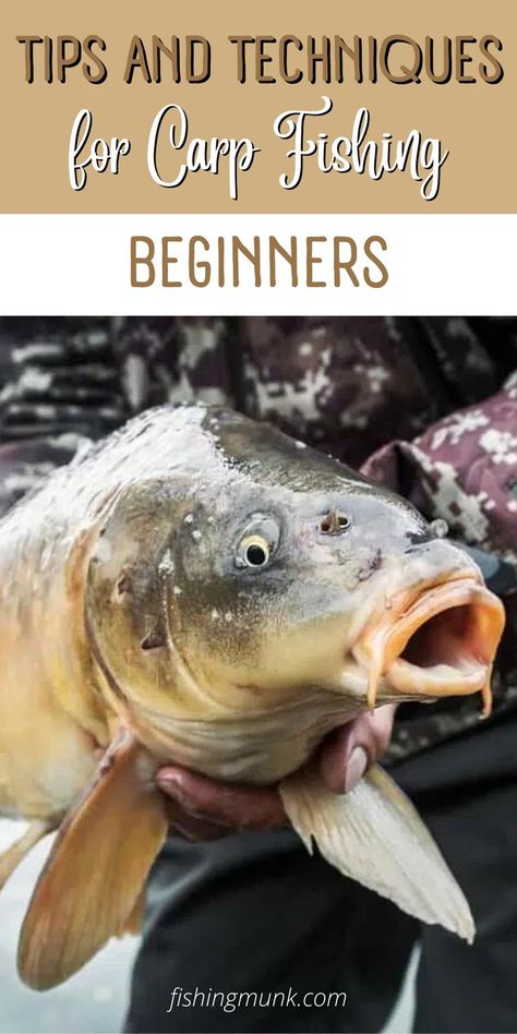 From baits and tackles to keen observation, carp angling requires a vigilant eye and a resilient approach. By understanding the right carp fishing techniques, any beginner can master the art of carp fishing in no time. Here’s our list of carp fishing tips for beginners that might help your luck with carp fishing. Fishing Tips And Tricks, Carp Fishing Tips, Fishing For Beginners, Bait And Tackle, Fishing Techniques, Fishing Adventure, Freshwater Fishing, Carp Fishing, Trout Fishing