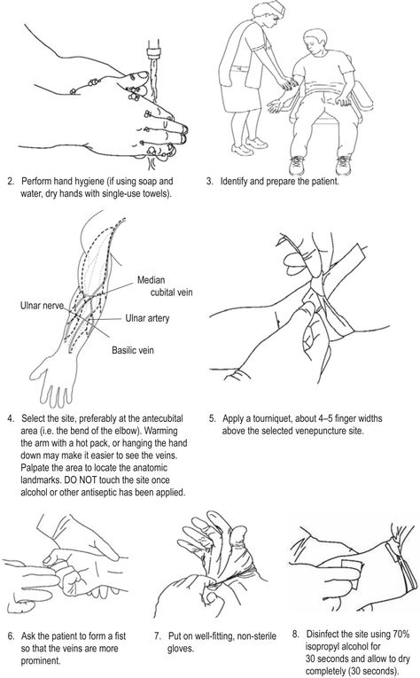 Phlebotomy Study Notes Order Of Draw, Phlebotomist Study Notes, Nha Phlebotomy Study Sheets, Future Phlebotomist, Phlebotomy Aesthetic, Phlebotomy Certification, Vampire Drawing, Phlebotomy Study, Phlebotomy Technician