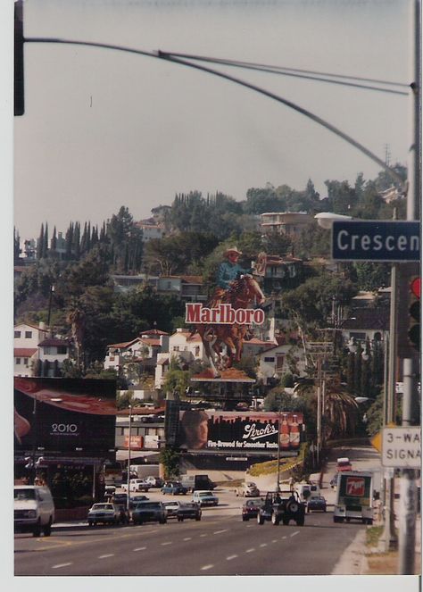 Looking west down Sunset Blvd. from Crescent Heights Blvd. Los Angeles, CA 1984 Los Angeles Aesthetic, Burbank California, Sunset Blvd, Fotografi Kota, Laurel Canyon, Sunset Strip, Universal Studios Hollywood, Vintage Los Angeles, City Of Angels