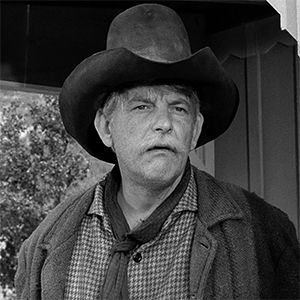 12 wonderful character actors who turn up in every TV Western  Denver Pyles Old Western Actors, Denver Pyle, Tough Men, Johnny Ringo, Old Western Movies, Randolph Scott, Native American Actors, Western Hero, Human Oddities