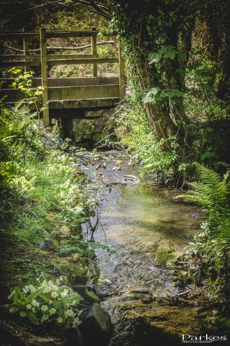 a small stream in woodland by an old small bridge located in cornwall Woodland Stream, Garden Stream, Small Bridge, Dream Country, Garden Ponds, Unlikely Friends, Woodland Garden, Nature Reserve, Ponds