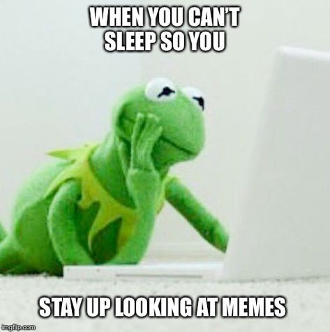 Cant Sleep Meme, Cant Sleep Quotes Funny, Kermit The Frog Memes, Cant Sleep Quotes, Funny Kermit Memes, Kermit The Frog Meme, Sleep Quotes Funny, Sleep Meme, Kermit Funny