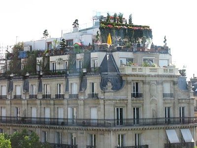 Just Another American in Paris: Penthouse Penthouse Exterior, Paris Penthouse, Penthouse Garden, Basement Apartment Decor, Chic Apartment Decor, Paris Balcony, American In Paris, Paris Rooftops, Barbecue Pit