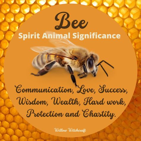 Bee Witchcraft, Bee Spirit Animal Meaning, Honey Bee Symbolism, Bee Spiritual Meaning, Animals In Witchcraft, Bumble Bee Spiritual Meaning, Bee Spirit Animal, Mystical Creatures Mythology, Animal Totem Spirit Guides