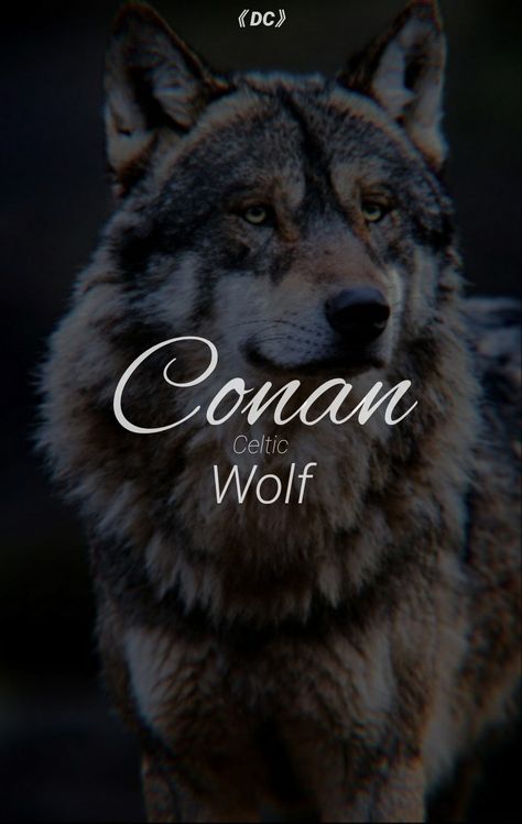 Celtic Male Names, Names With Animal Meanings, Wolf Names And Meanings, Male Wolf Names, Celtic Names And Meanings, Wolf Names Ideas, Celtic Names Female, Viking Names And Meanings, Names Meaning Wolf