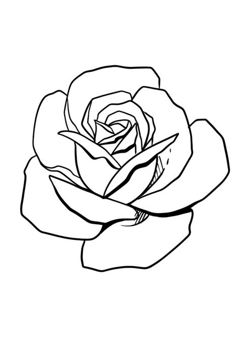 Tattoo Stencils Rose, Rose Outline Drawing, Rose Outline Tattoo, Rose Tattoo Hand, Tattoo Stencil Designs, Rose Tattoo Stencil, Cute Flower Drawing, Rose Coloring, Rose Outline