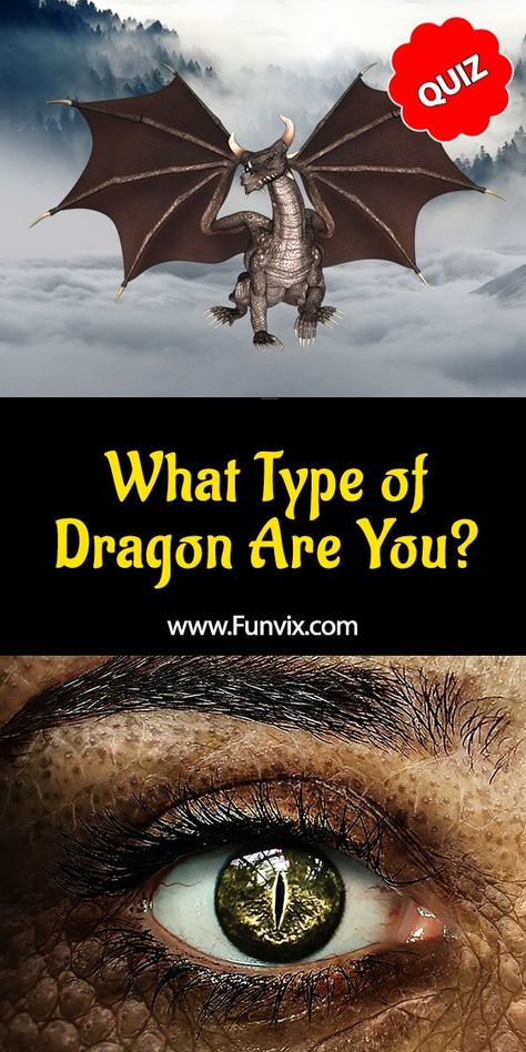 What Type of Dragon Are You?  Are you fearsome like an Amphiptere dragon, indestructible like Hydra, poisonous as a Wyvern, intelligent as a Drake, or cute as a Faerie dragon? It's time to find out. Take this personality quiz and find what type of dragon you are. #dragon #personalityquiz #quiz #quizzes #funvix Day Of Dragons Game, What Is Your Dragon Name, Wyrvens Dragon, What Mythical Creature Are You Quiz, Httyd Quiz, Dragon Abilities, House Of Dragon Dragons, Httyd Dragons Species List, Amphiptere Dragon