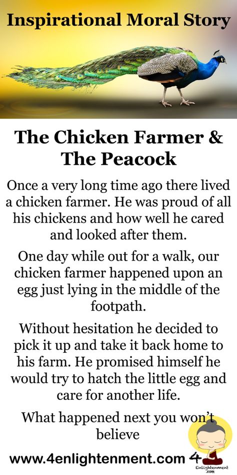 Short inspirational moral story the chicken farmer and the peacock Small English Story With Moral, Short Inspirational Stories With Moral, Stories With Moral Lessons In English, Short Story With Moral Lesson, Moral Stories Life Lessons, Short Moral Stories In English, Moral Stories For Kids English, Short Stories With Moral Lessons, Small Story With Moral