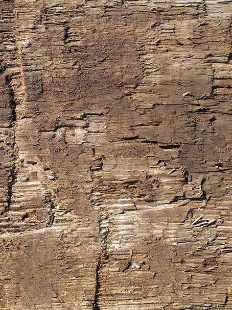 Weathered wooden board texture photo. Close-up of old rustic background - Picture. Texture #yurlick #shutterstock design for sale Restaurant Campaign, Shutterstock Design, Natural Wood Texture, Organic Textures, Rustic Background, Rustic Texture, East Lake, Brownie Points, Wooden Texture