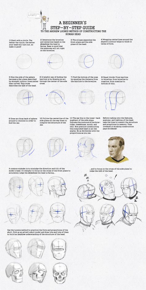 Anatomy Head, Figure Drawing Female, Loomis Method, Drawing The Human Head, Andrew Loomis, Face Proportions, 얼굴 드로잉, Drawing Heads, 얼굴 그리기