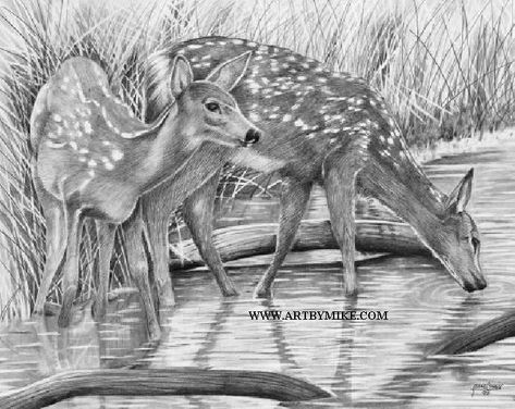 Rivers Edge Sleeping Fawn Tattoo, Deer Drawings, Fawn Tattoo, Tattoo Room, Deer Tattoos, Deer Drawing, Michigan Art, Sleeping Animals, Deer Illustration