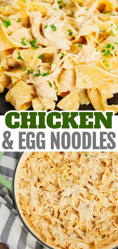 Chicken and Egg Noodles is a simple comfort food dish made with shredded rotisserie chicken, extra broad egg noodles, diced onion, cream of chicken soup and milk. Egg Noodle And Chicken Casserole, Cream Chicken And Noodles, Diced Chicken Dinner Recipes, Easy Dinner Recipes For Family Rotisserie Chicken, Recipes With Chicken And Cream Of Chicken Soup, Shredded Chicken Egg Noodles, Cream Of Chicken Egg Noodle Recipes, Chicken Tetrazzini Egg Noodles, Egg Noodle Cream Of Chicken