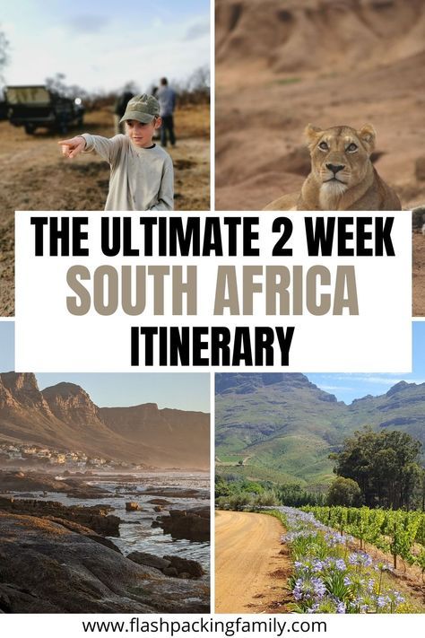 South Africa Destinations, Cape Town Itinerary, South Africa Itinerary, South Africa Travel Guide, Africa Itinerary, South Africa Safari, Epic 2, Safari Vacation, Visit South Africa