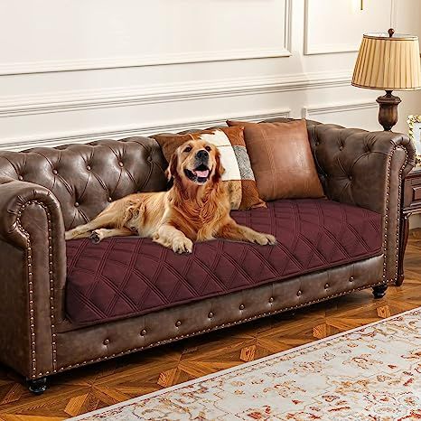 Dog Sofa Cover, Quilted Bed, Waterproof Dog Bed, Waterproof Blanket, Sofa And Bed, Bed Quilt Cover, Covered Dog Bed, Microfiber Blanket, Dog Sofa