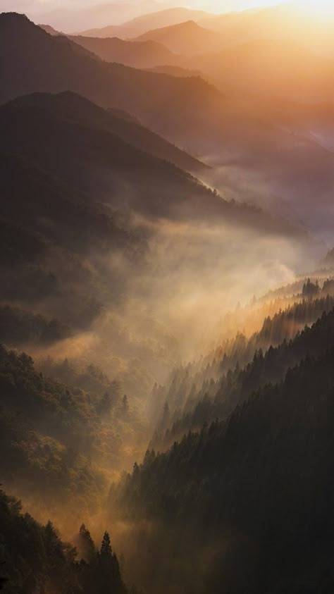 Foggy Mountains, Mountain Wallpaper, Pretty Landscapes, Very Interesting, Landscape Wallpaper, Pics Art, Nature Aesthetic, Mountain Landscape, Landscape Photographers