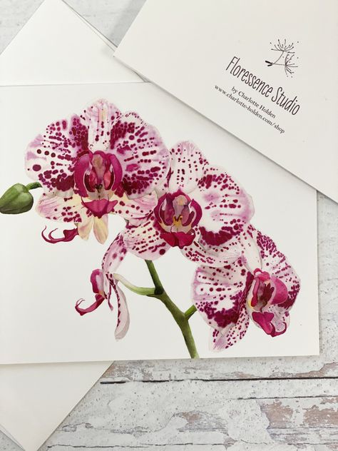 Watercolor Orchid, Orchid Painting, Orchids Painting, Envelope Art, Flower Watercolor, Beautiful Greeting Cards, Floral Illustration, Pink Orchids, Beautiful Orchids