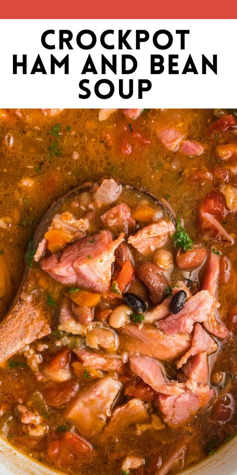 Crockpot Ham and Bean Soup {The BEST Recipe} Ham Hock And Beans In Crockpot, Ham Hock Recipes Crockpot, Best Crockpot Ham, Ham Soup Crockpot, Crockpot Ham And Bean Soup, Bean Soup Crockpot, Crockpot Ham And Beans, Ham Hock Soup, Ham Hock Recipes