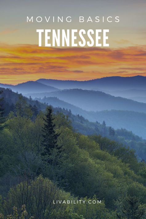 Tennessee Style, Tennessee Must See, Living In Tennessee, Life In Tennessee, Best Places To Live In Tennessee, Moving To Nashville Tennessee, Tennessee Aesthetic, Tennessee Living Country, Dickson Tennessee