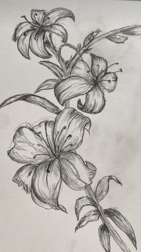 Exotic Drawing Sketch, Plants Reference Drawing, Drawing Lily Flower, Lily Flowers Drawings, How To Draw Lilies, Aesthetic Flower Doodles, How To Draw A Lily, Lilies Flowers Drawing, Lilly Drawing Flowers