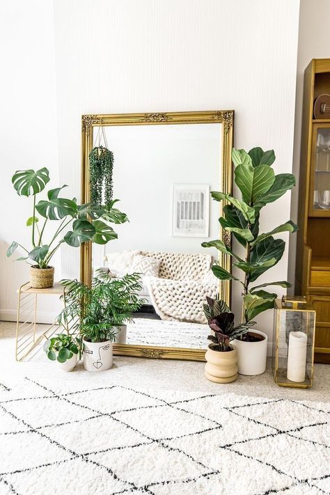 (paid link) The Best plants for the active Room in Feng Shui  1. Rubber plant  2. Areca Palm  3. English Ivy  4. goodwill Lily  5. Fiddle Leaf Fig  6. Citrus ... Mirrors In Living Room Ideas, Big Mirror In Bedroom, Lounge Interior, Dressing Room Mirror, Editing Presets, Antique Gold Mirror, Room Mirror, Living Room Plants, Instagram Filters