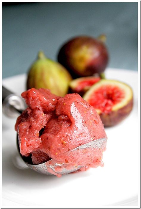 Fresh Fig Sorbet Fig Gelato, Christian Food, Fig Recipes, Sorbet Recipes, Frozen Yoghurt, Yummy Dessert, Ice Cream Popsicles, Fresh Figs, Ice Cream Desserts