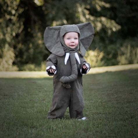 Homemade Elephant Costume, Elephant Costume Diy, Toddler Elephant Costume, Martin Elias, Baby Elephant Costume, Diy Baby Halloween Costumes, Elephant Halloween, Elephant Costume, Elephant Costumes