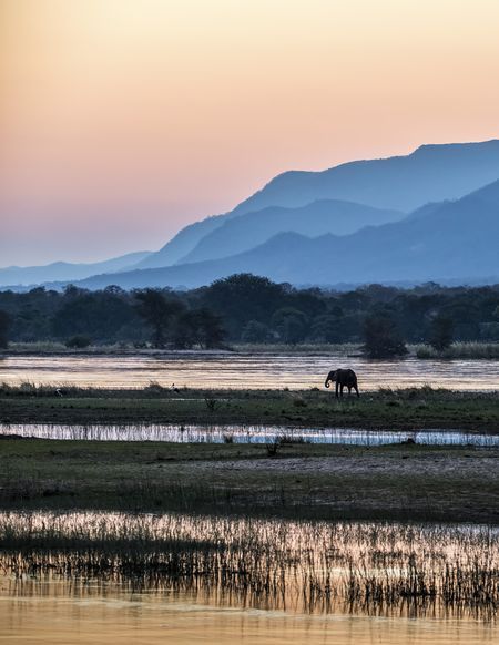 Lower Zambezi Photo by Artur Stankiewicz — National Geographic Your Shot Shot Photo, African Elephant, National Geographic Photos, Zimbabwe, Best Photography, Natural World, National Geographic, Amazing Photography, Landscape Art