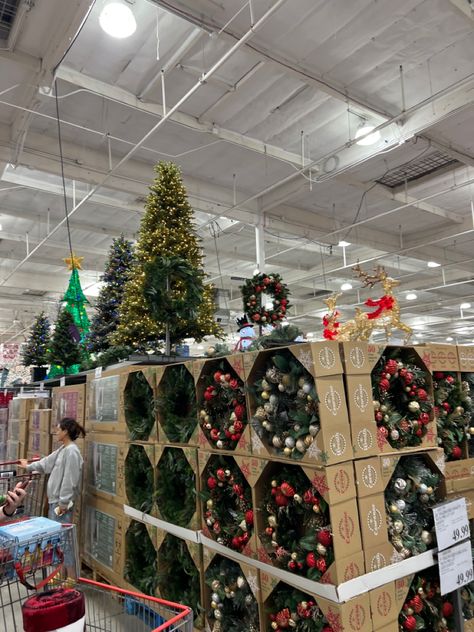 Costco Christmas, Getting Ready For Christmas, Ready For Christmas, Christmas Shopping, Getting Ready, Christmas Decor, Christmas Decorations, California, Christmas