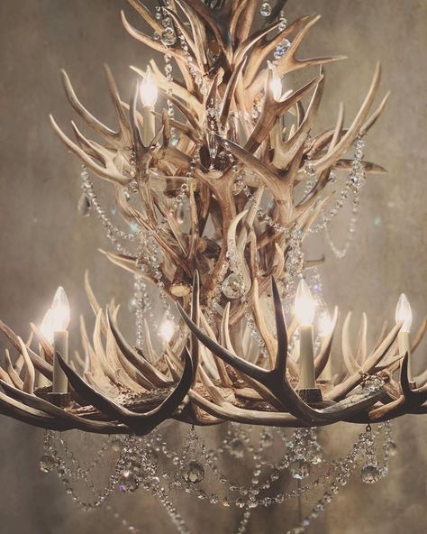 Stagridge on Instagram: “Adding just the right amount of sparkle to your week! This antler chandelier adorned with crystals is making our week! ✨✨ Let us know today…” Antler Ideas, Antler Wedding, Antler Art, Antler Chandelier, Wedding Chandelier, Crystal Chandelier Lighting, Deer Skulls, Chandelier In Living Room, Crystal Chandelier