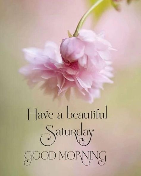 Good Morning Saturday Images with Beautiful Quotes 14 Good Morning Positive Quotes, Morning Positive Quotes, Saturday Good Morning, Good Morning Positive, Good Morning Saturday Images, Saturday Morning Quotes, Happy Saturday Quotes, Happy Saturday Images, Saturday Greetings