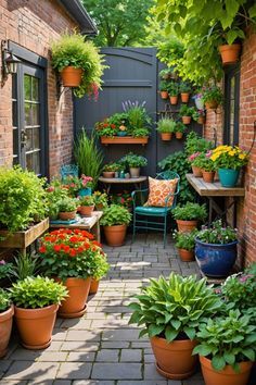 Front Courtyard Ideas, Small Garden Area Ideas, Small Courtyard Garden Ideas, Potted Tomato Plants, Courtyard Garden Ideas, Small Courtyard Garden, Small Garden Plans, Garden Ideas Uk, Small Courtyard