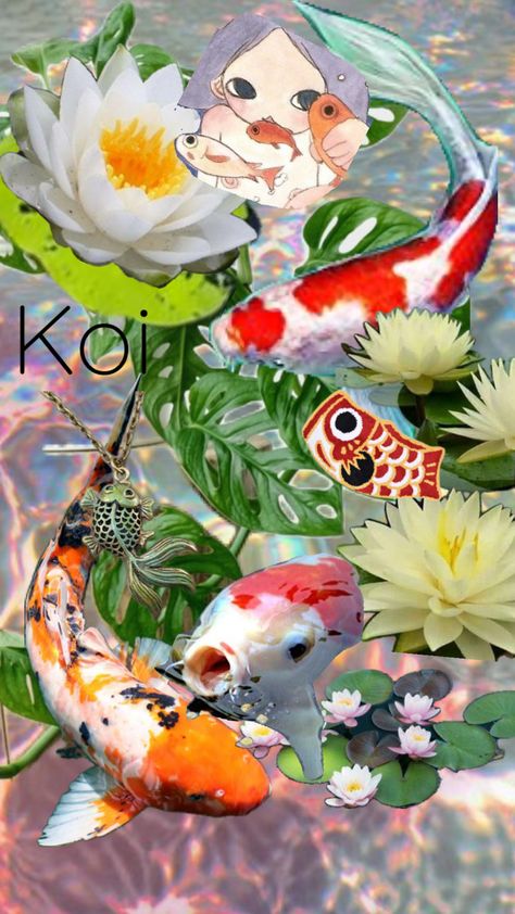 Hope you like it it’s not the best but ya know #therians #therianthropy #koifish Green Water, Koi Fish, Your Aesthetic, Koi, Fish, Energy, Collage, Water, Green