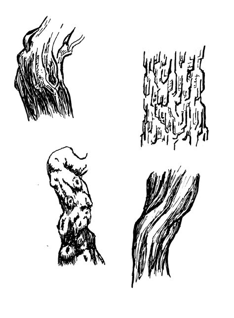 Drawing Tree Bark, Tree Trunk Texture Drawing, How To Draw Tree Bark Texture, Tree Bark Sketch, How To Draw Tree Bark, Tree Trunk Sketch, Tree Texture Drawing, Tree Bark Drawing, Tree Pen Drawing