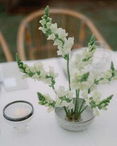 Pure white 🤍 A total white wedding floral setup, created for Tania and Matt’s wedding, in the beautiful natural setting of Casale del Gallo, with a series of light and ethereal compositions, made with kenzan. Each arrangement is different from the other: we compose inspired by the beauty of flowers, their movement and shapes to create unique details. Photo @mcrescentini Venue @casale_delgallo www.anthea-studio.com Floral Design Business, White Flower Arrangements, Sustainable Flowers, Beauty Of Flowers, Total White, Flower School, Flower Frog, Rustic Chic Wedding, Wedding Flower Arrangements