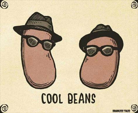 Coffee Puns, Cool Beans, Punny Puns, Funny Food Puns, Visual Puns, Cute Puns, Pun Card, Food Puns, 10 Picture