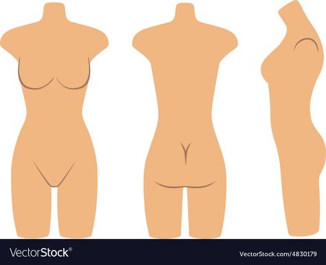 Body References, Mannequin Torso, Body Reference Poses, Body Reference, Reference Poses, Flat Style, Side View, Fashion Flats, Bra Tops