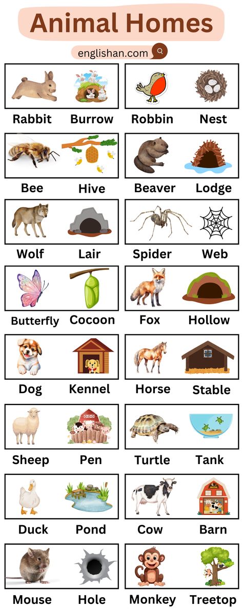 Animals and Their Homes Names Animals And Their Homes Worksheets, Animals And Their Babies, Animals And Their Homes, अंग्रेजी व्याकरण, Animals Name In English, Animal Infographic, English Word Book, English Learning Books, English Grammar Book