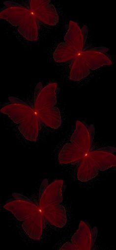 Black And Red Aesthetic Butterfly, Wine Red Phone Wallpaper, Black N Red Wallpaper, Dark Red Butterfly, Maroon Butterfly, Red Colour Wallpaper, Red Widgets, Maroon Aesthetic, Colour Wallpaper