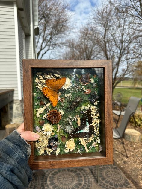 Big shadow box displaying an assortment of bugs and flowers! Everything down to the moss is real and preserved!  **All animal products are sourced ethically** This shadow box includes:  *8x10 brown shadow box    -wall hanging or stand alone (no prop but will still sit upright) *Preserved moss  *All real dried flowers  *Two polished stones  *Two raw black onyx stones  *Two raccoon leg bones  *Two pinecones  *Three misc animal teeth *Real common cruiser butterfly (top left)  *Real common jay butterfly (bottom right)  *Real stag beetle (middle) Framed Nature Wall Art, Bug Shadow Box Insects, Preserved Flower Ideas, Shadow Box Diy Ideas, Insect Shadow Boxes, Shadow Box Dried Flowers, Butterfly Shadow Boxes, Memorial Shadow Box Ideas, Shadow Box Crafts