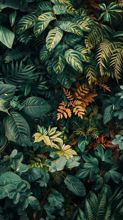 Real Plant Wallpaper, Plant Wallpapers For Iphone, Plant Asthetic Wallpers, Plant Background Wallpapers, Plant Phone Background, Mystical Wallpaper Iphone, Plant Art Wallpaper, Leaf Wallpaper Iphone, Leaves Wallpaper Aesthetic