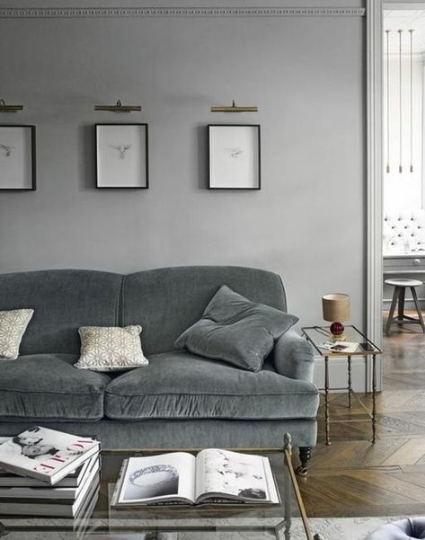 gray color room decorating Living Pequeños, Grey Walls Living Room, Gray Living Room Design, Grey Sofa Living Room, Living Room Trends, Trendy Living Rooms, Chic Living Room, Sofa Living, Traditional Living Room