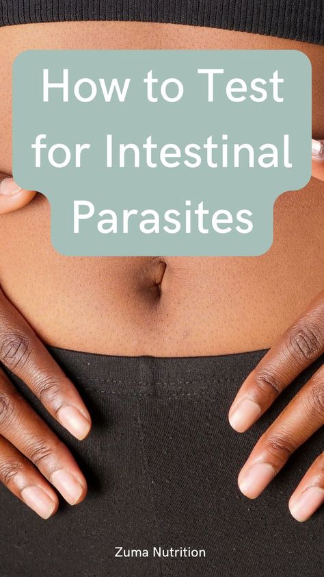 Having a parasitic infection is a common health issue that is often overlooked and underdiagnosed. If left untreated, a parasitic infection can lead to numerous other health issues and potentially even life-threatening illnesses. Parasites are a worldwide problem that surpasses epidemic proportions. It estimated that over half of the world’s population have a parasitic infection. So, if you’re reading this, there’s a 1 out of 2 chance that you have one as well. Natural Parasite Cleanse, Parasite Cleanse Diet, Herbal Parasite Cleanse, Parasites Symptoms, Whole Body Cleanse, Intestinal Parasites, Parasite Cleanse, Natural Teething Remedies, Cleanse Diet